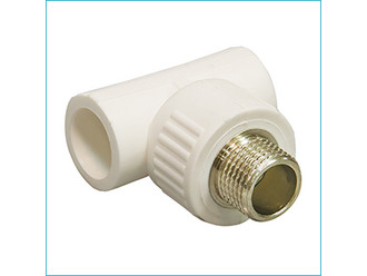 Тройник комб. штуцер 20х3/4х20 PP-R Rosturplast   (20)